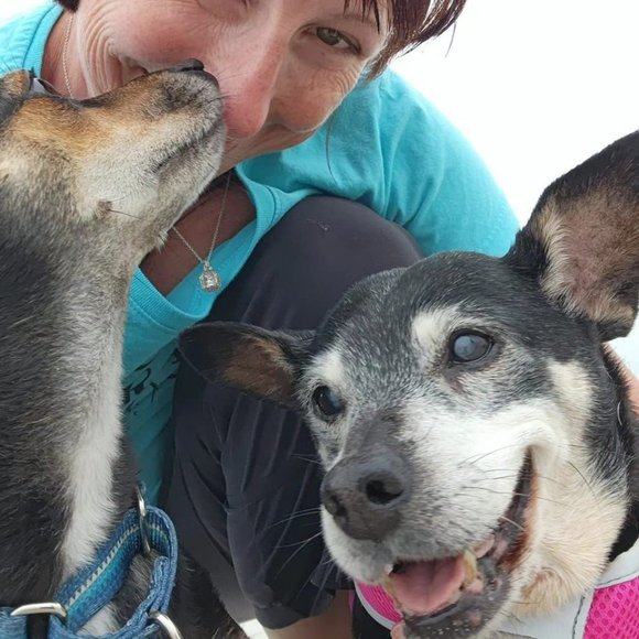 Meet your Posher, Kristine - Picture 3 of 8